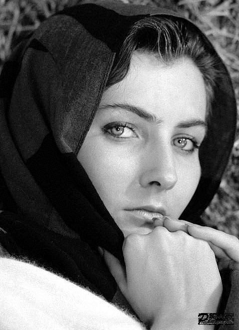 Modèle Shop-Photo Calais